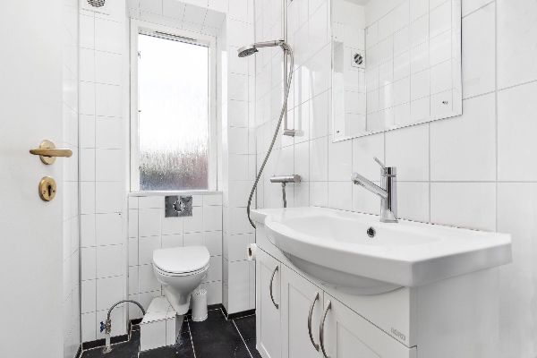 Fjernelse, afmontering og rengøring