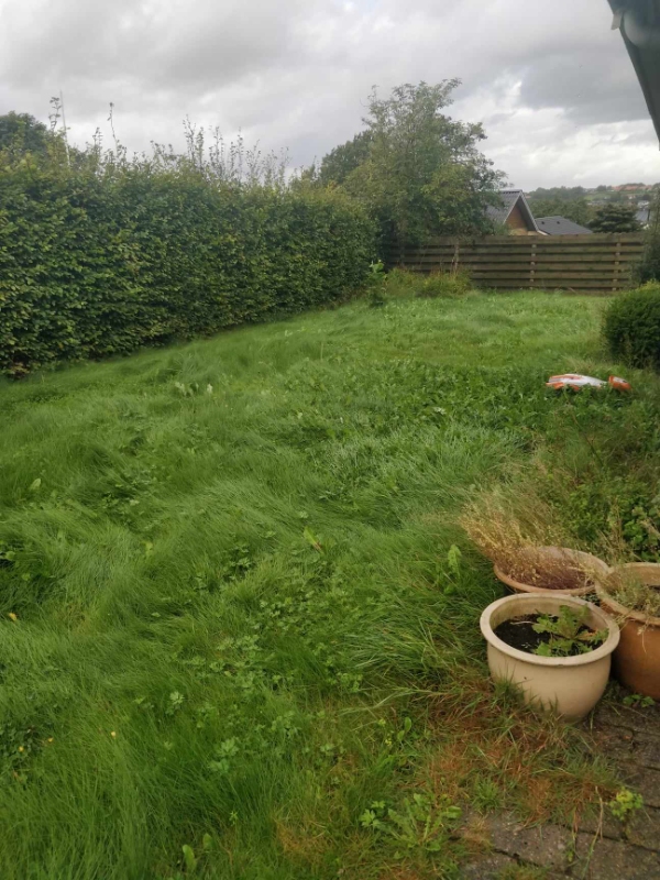 klipning af højt græs