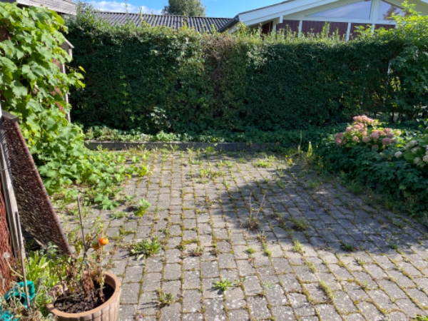 Hæk, græs og lugning af fliser