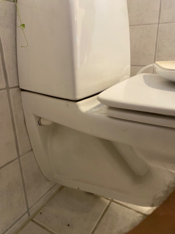 Toilet WC change