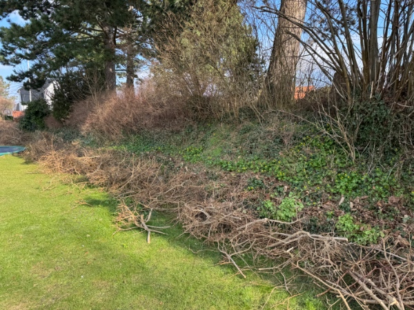 Fjernet haveaffald (inkl. hæk der er skåret ned)