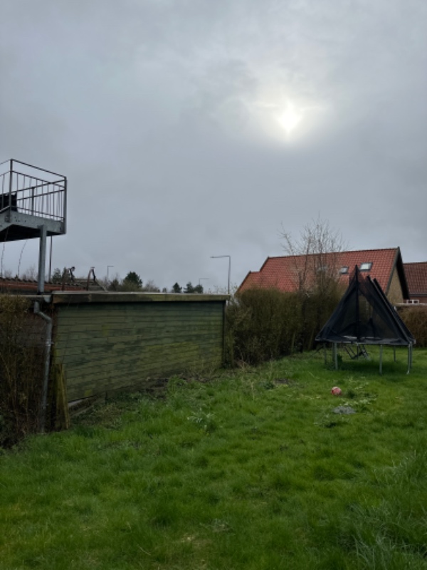 Græs- og blomstersåning