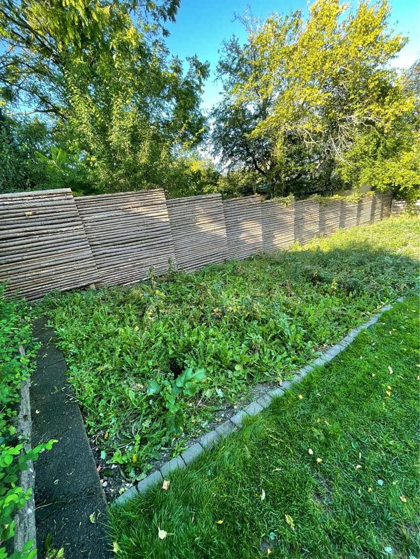 Rydning af ‘Vild med Vilje’-bed