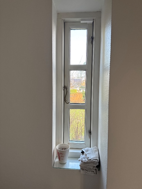 Pudsning af vinduer