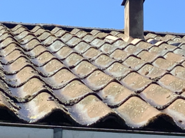 Nedtagning og bortskaffelse af artenittt