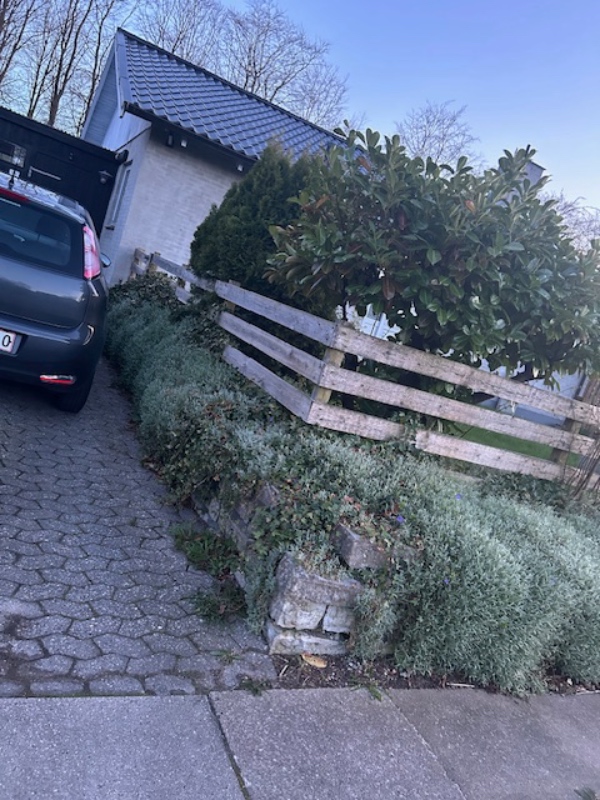 indkørsel og gangsti med trapper
