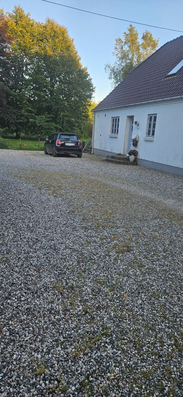 Ryd indkørsel for ukrudt