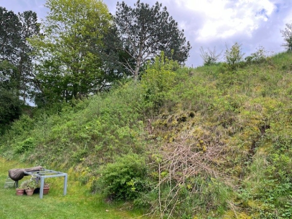 Beskæring og bortskaffelse af beplantning