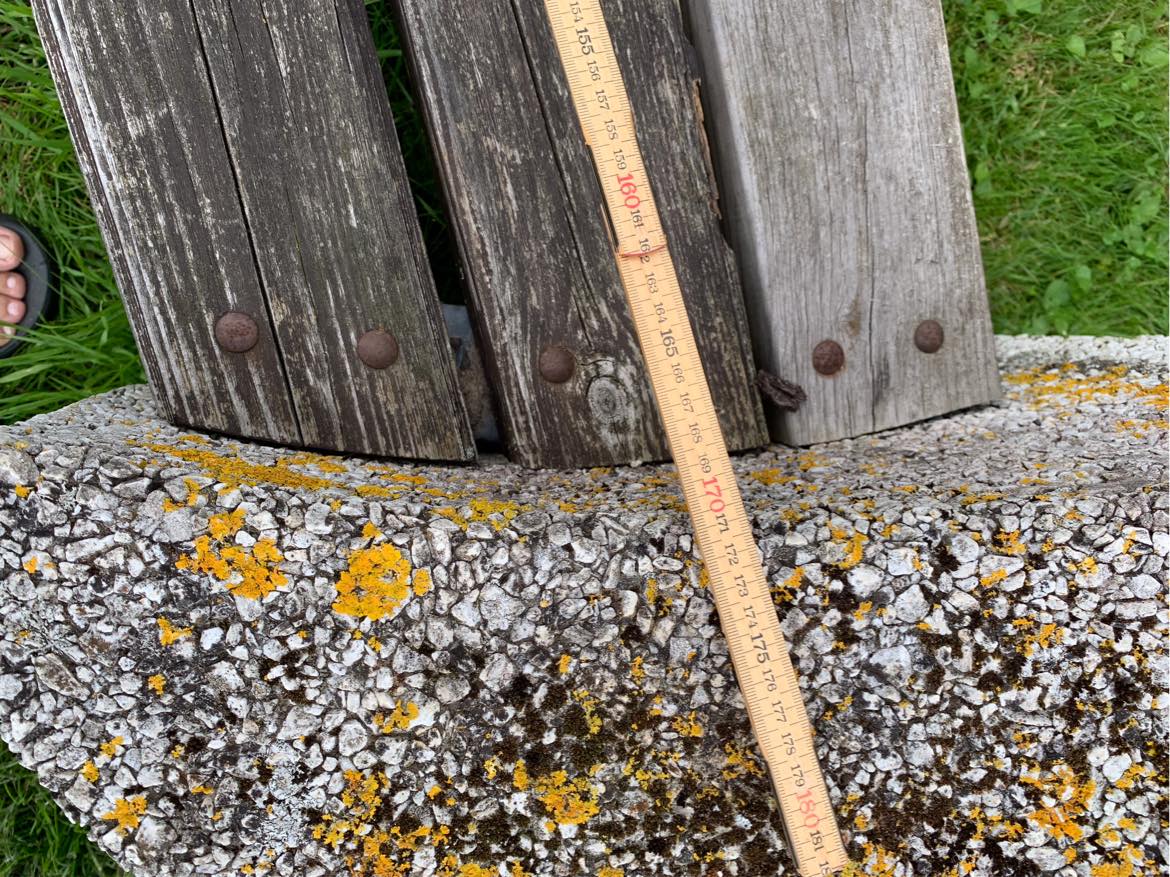 Nyt træ på 5 bænke