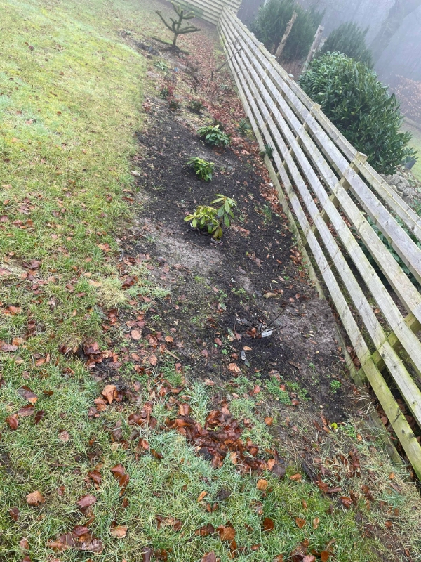 Forårs klargøring af have