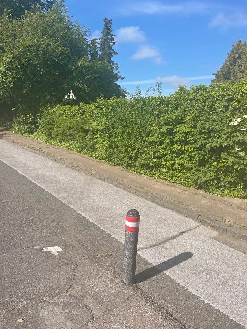 Klippe hæk/have og rydde op