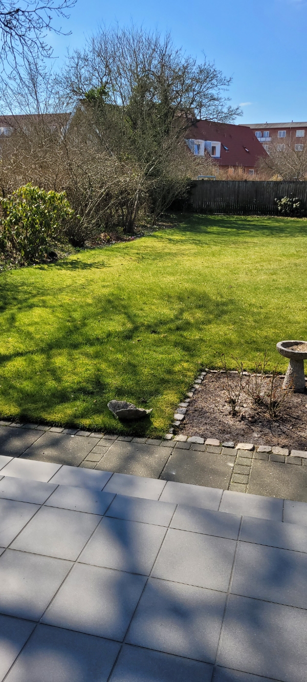 Beskæring af buske mm. Kant klip græsplæne hvor der er begrænsning tråd til Robot klipper.