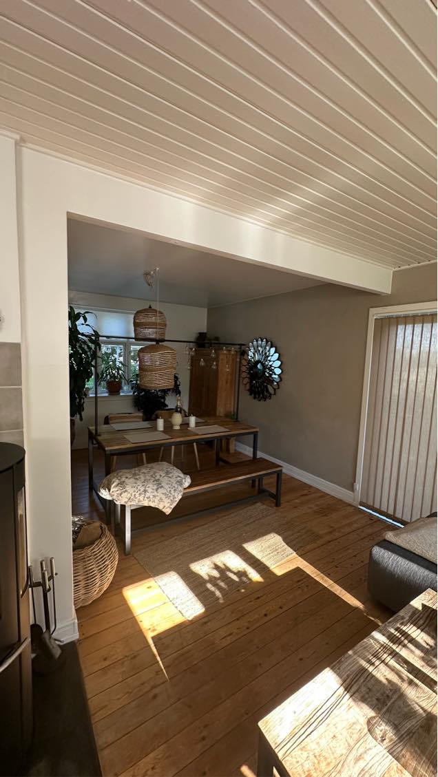 Grundig rengøring af hus 158 m2