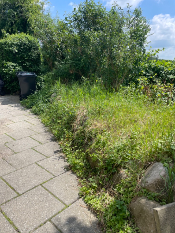 Rydning af bed med kampesten