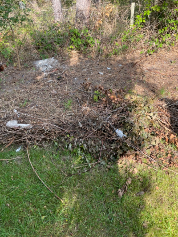 Bortskaffelse haveaffald