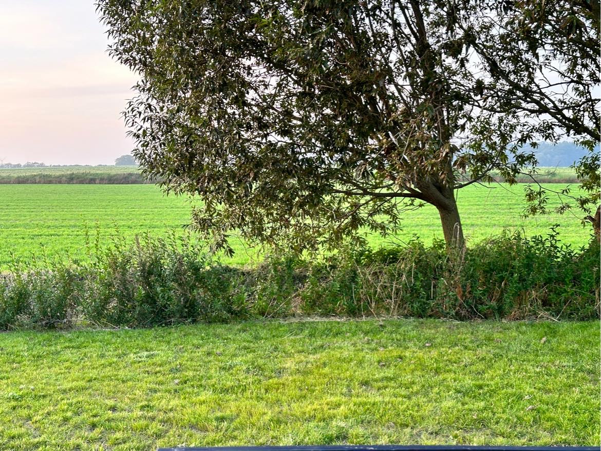 Lugning fliser og hæk giv et bud og vi finder ud af det