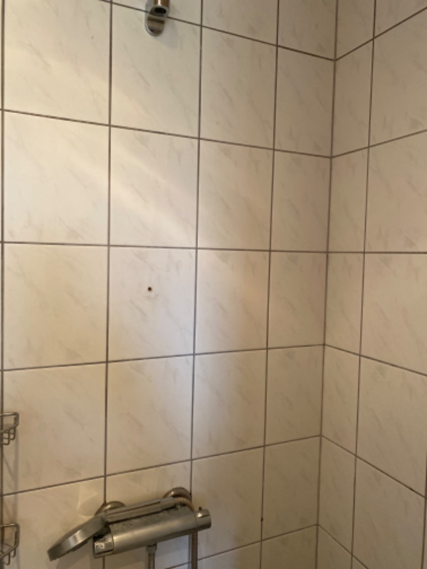 Skiftet batteri og opsat ny brusestang