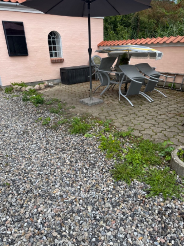 Ukrudt, trimning og generel havearbejde