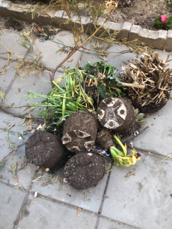 Ting på lossepladsen