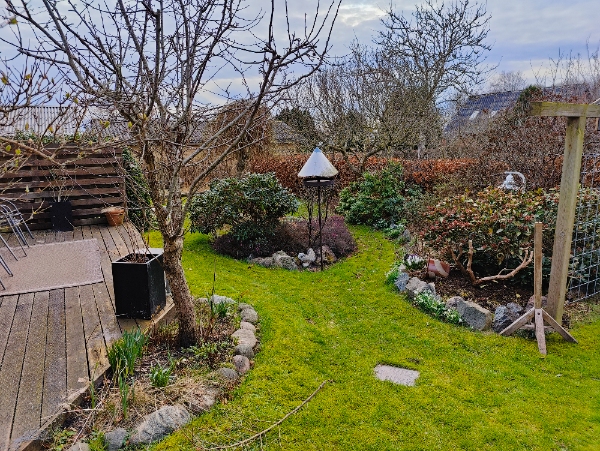 Græsplæneklipning og hæktrimning