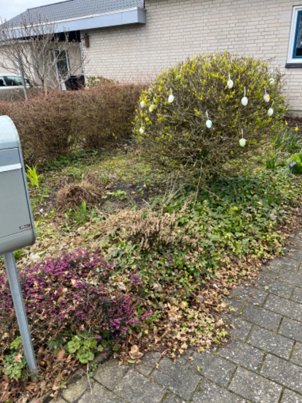 Ukrudtsfjerning i forhave