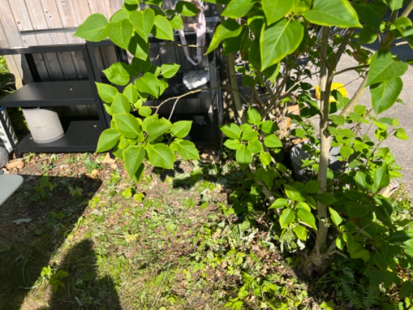 2m2 flise terrasse i haven