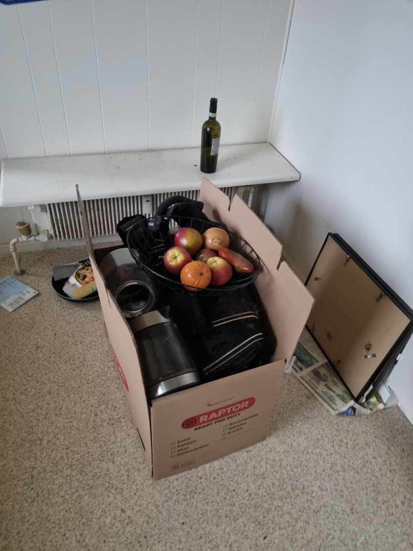 rytning af lejlighed og hovedrengøring