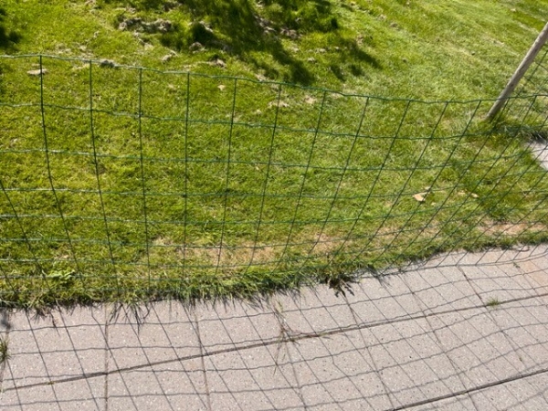 Terrase fliser og renovasjonsskjul