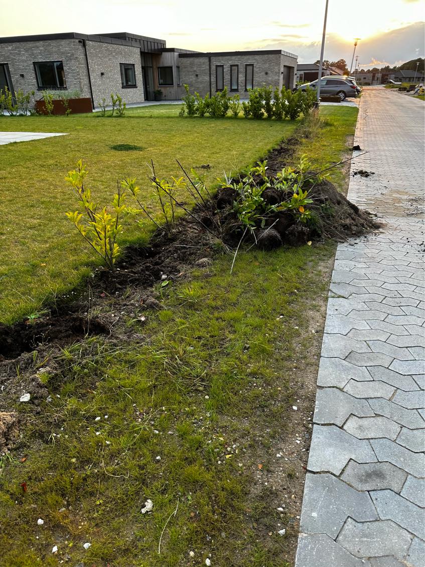 Hjælp til at grubning af et lille stykke jord