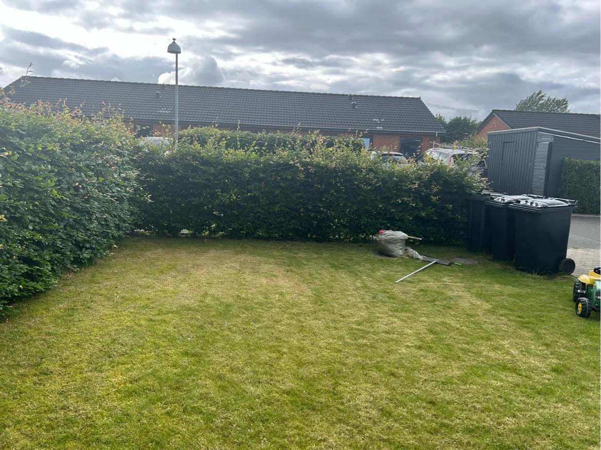 Klippe græs og hæk