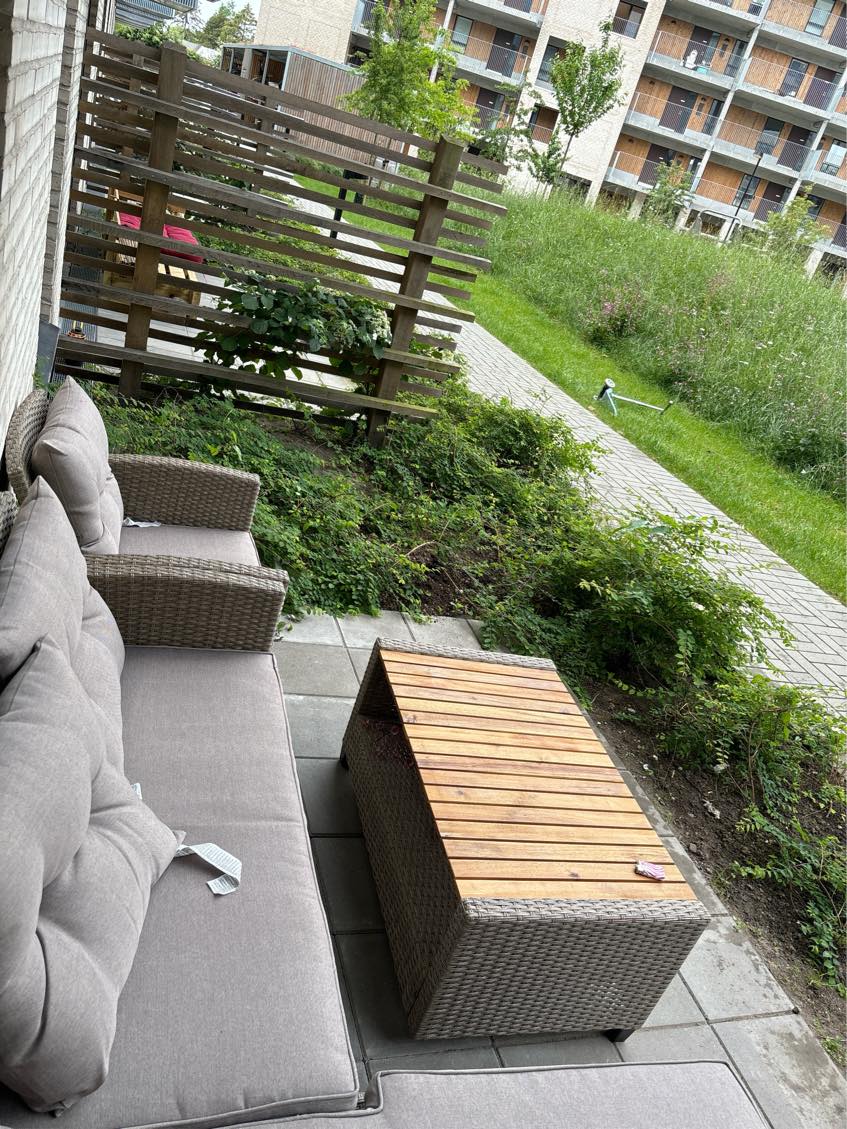 Ligges græs og sættes hegn op