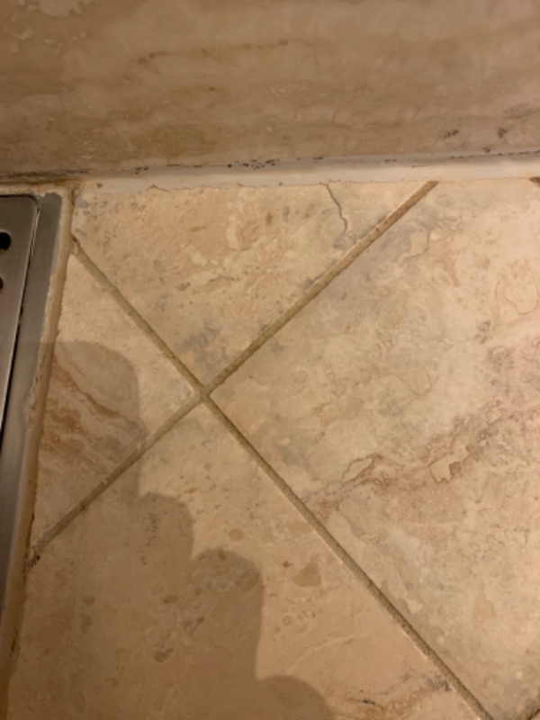 lille revne på marmorfliser