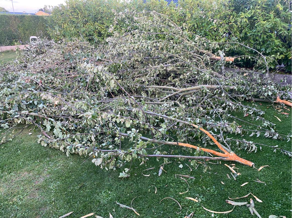 Bortskaffelse af haveaffald