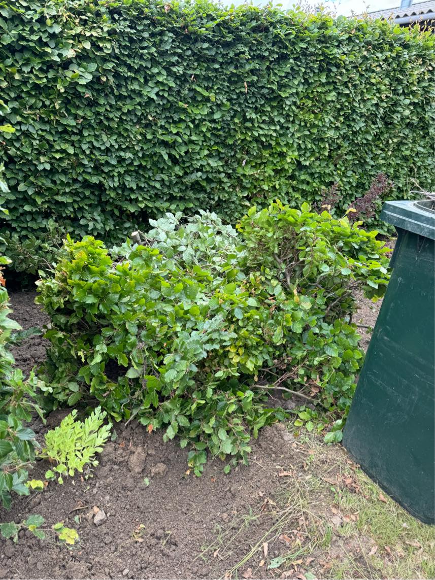 Bortskaffe haveaffald