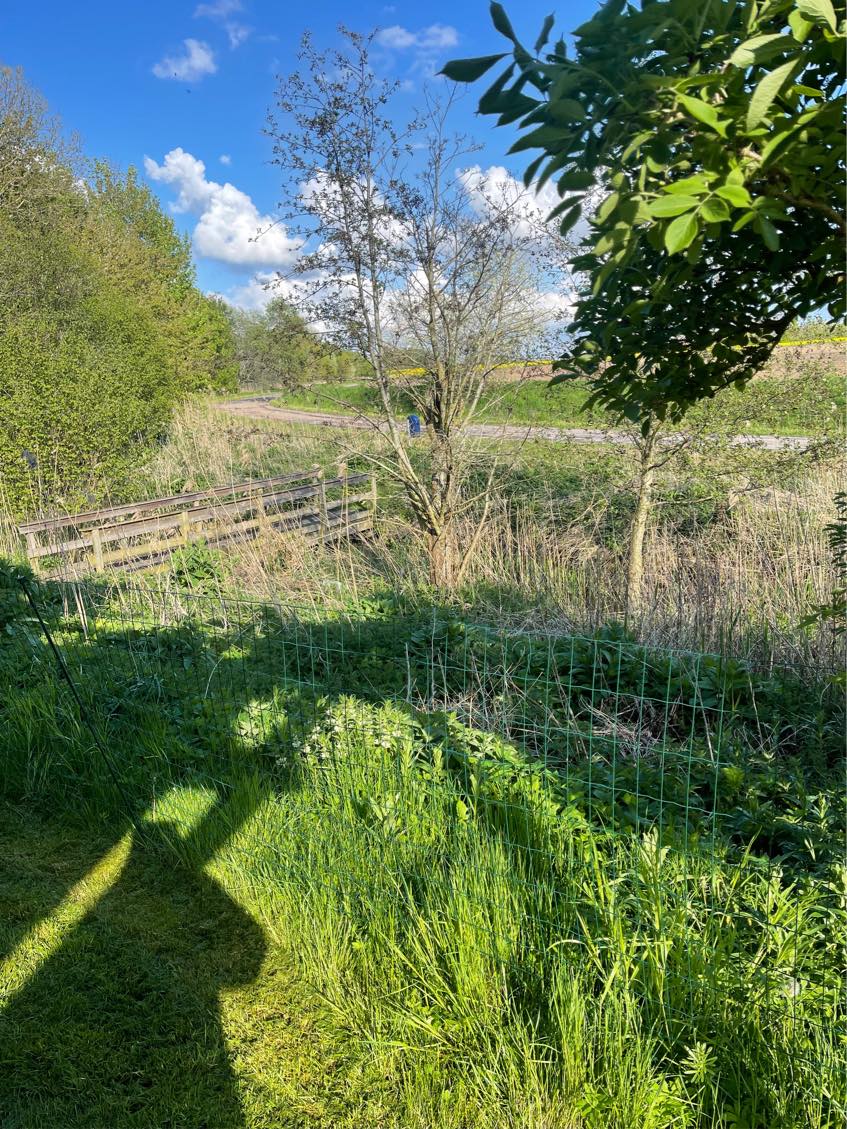 Udvidelse af have ned til åen