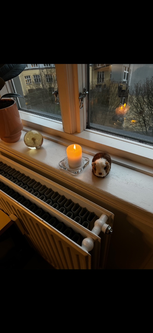 Bygge og opsætte to radiatorskjulere