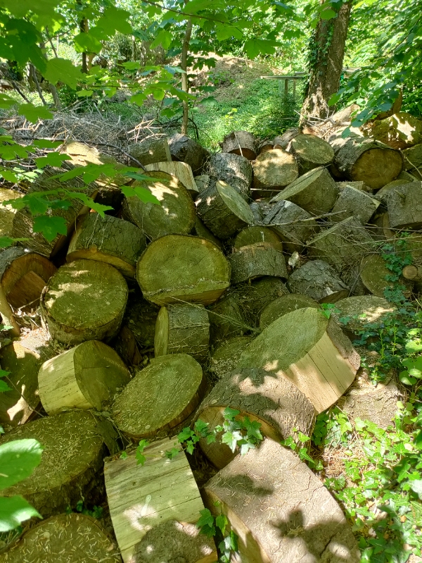 Kløve en masse brænde med en elektrisk brændekløver. Der er 11 træer. Se evt. Billeder