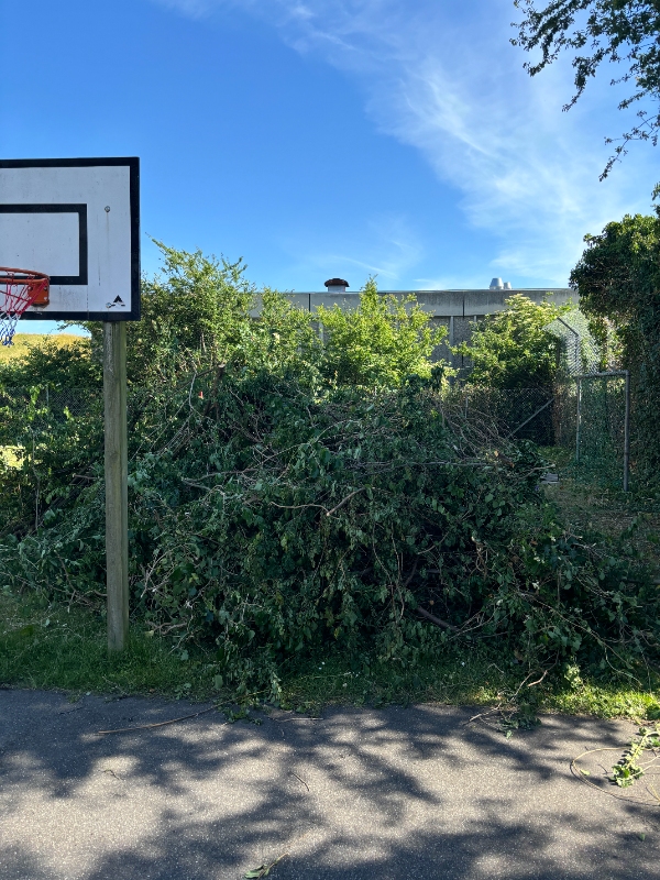 Afhentning af haveaffald med trailer