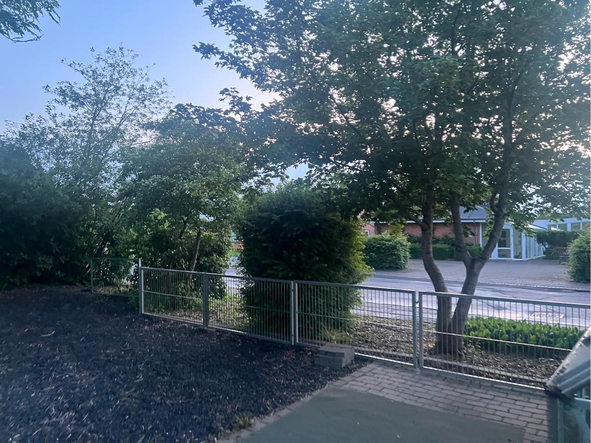 Hækklipning og beskæring af træer