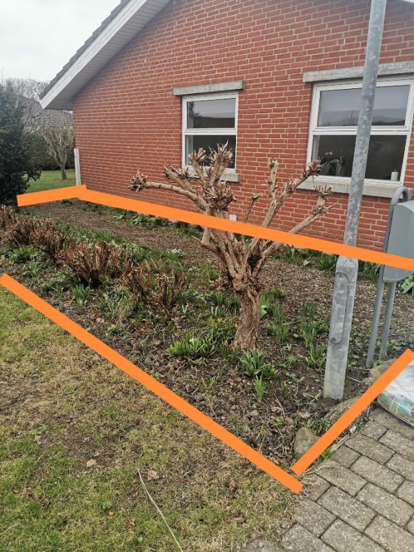 Gravning og bortkørsel af jord