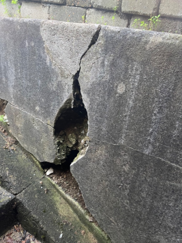 Reparation af kældertrap