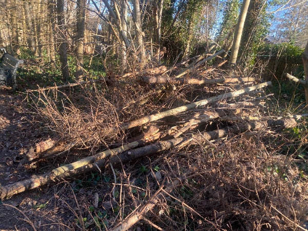 bortkørsel af grene med mere.