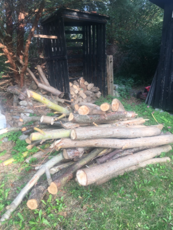 Save brænde af stammer