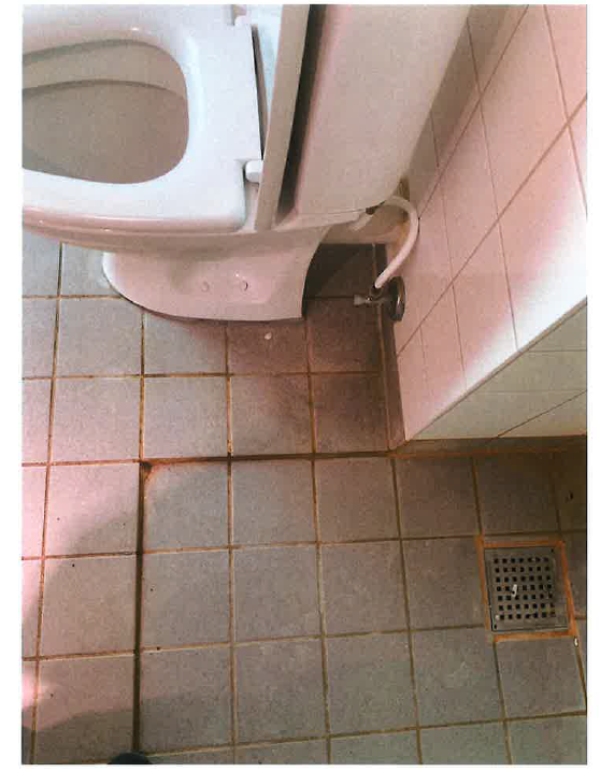 udflytningsrengøring