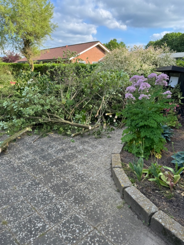 Fældning af pil og fjernelse af haveaffald