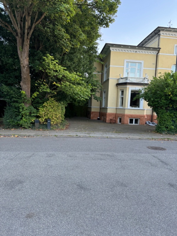 Nedskæring af buske samt tuja ca 5 m.