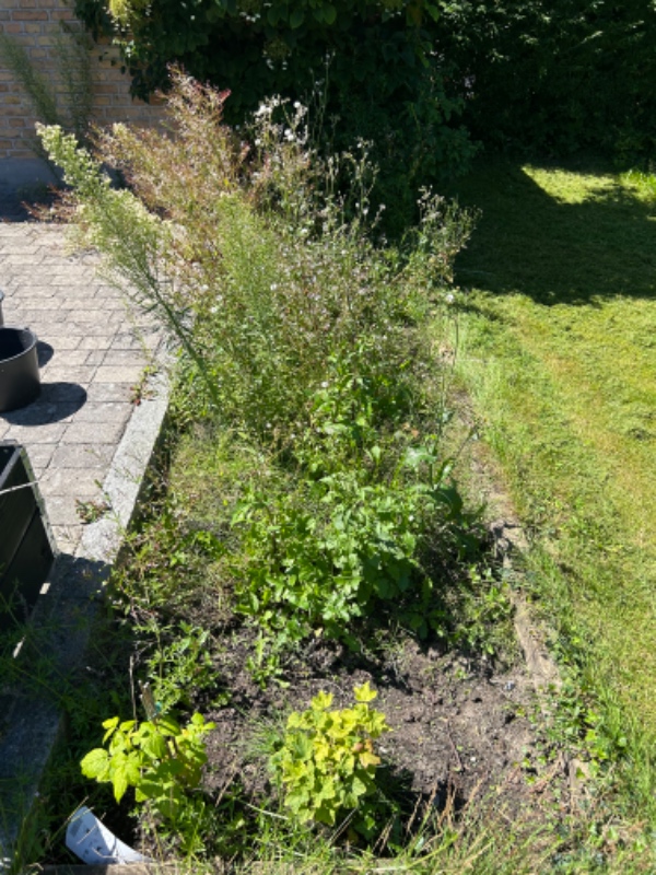 Luge ukrudt i 2 bede