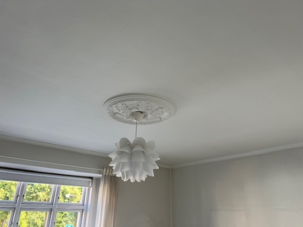 2 vær. lejlighed skal males