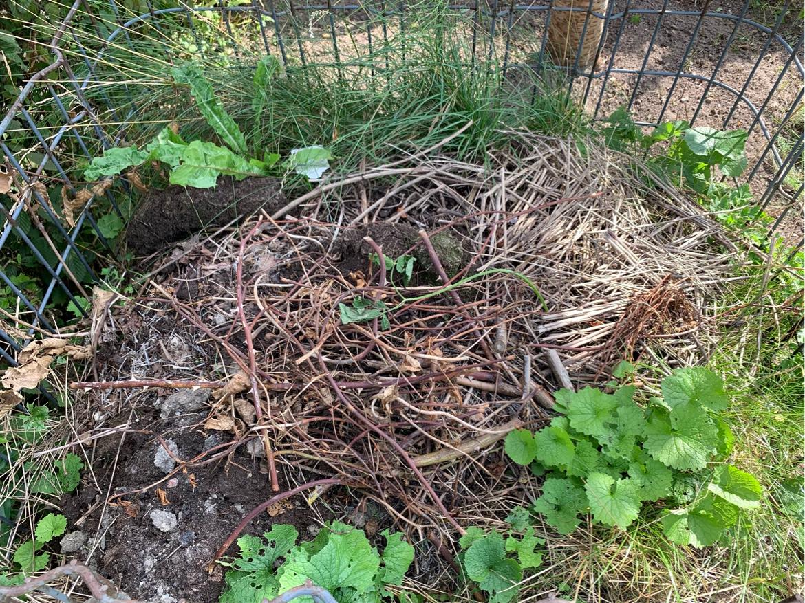 Tømning + fjernelse af kompostbeholder