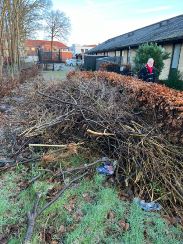 Køre grene, brosten, plade og blade på genbrugspladsen